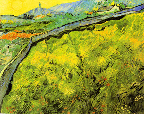 Wall by Van Gogh